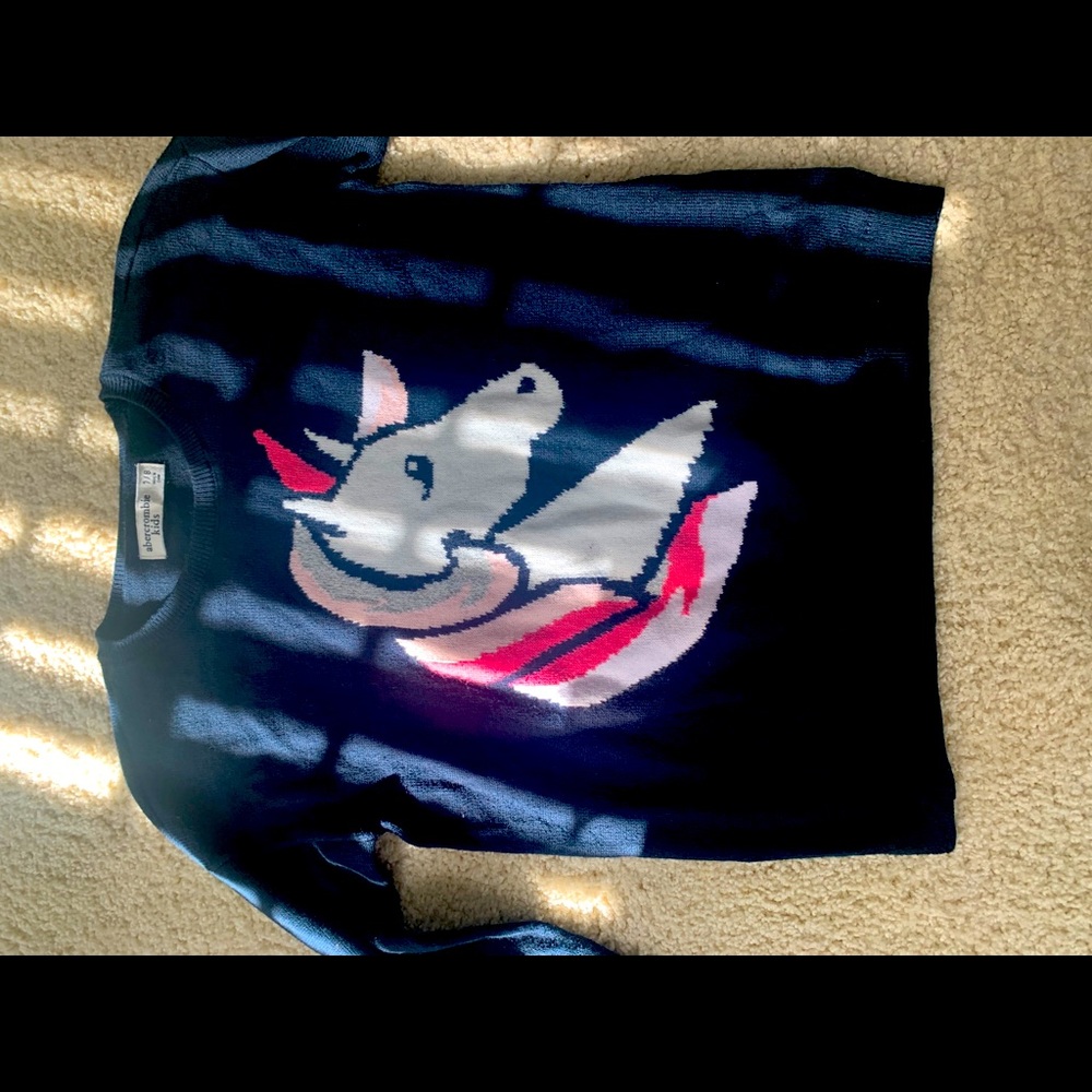 Abercrombie kids blue unicorn sweater